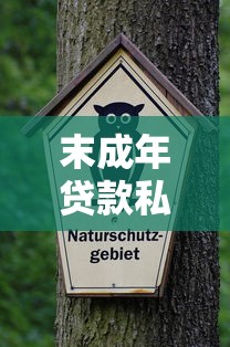 末成年贷款私人微信：看看这五个1000至5000的小额贷款软件