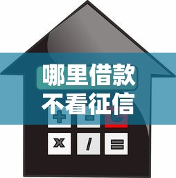 哪里借款不看征信的：试试这5个网贷平台借钱利息低
