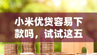 小米优贷容易下款吗，试试这五个企业贷款平台