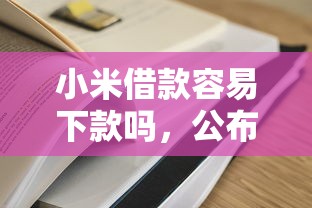 小米借款容易下款吗，公布五个贷款通过高的平台