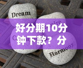 好分期10分钟下款？分享五个和小象优品一样好下款的口子