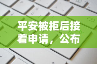 平安被拒后接着申请，公布五个平台审核通过率高