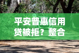 平安普惠信用贷被拒？整合5个汽车网贷平台