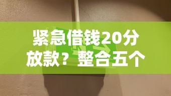 紧急借钱20分放款？整合五个网贷平台