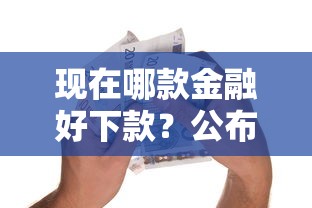 现在哪款金融好下款？公布5个能借20000的贷款平台