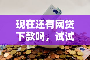 现在还有网贷下款吗，试试这5个黑口子