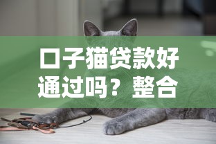 口子猫贷款好通过吗？整合5个什么贷款平台不上征信