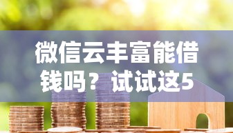 微信云丰富能借钱吗？试试这5个网贷代理平台
