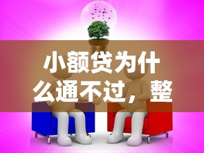 小额贷为什么通不过，整合5个和乐享花一样的平台