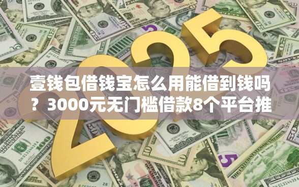壹钱包借钱宝怎么用能借到钱吗？3000元无门槛借款8个平台推荐