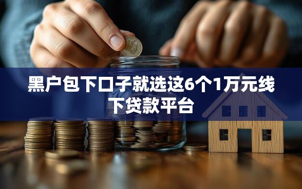 黑户包下口子就选这6个1万元线下贷款平台