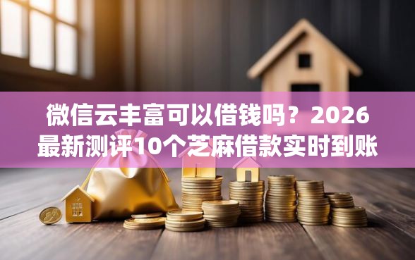 微信云丰富可以借钱吗？2026最新测评10个芝麻借款实时到账速借app