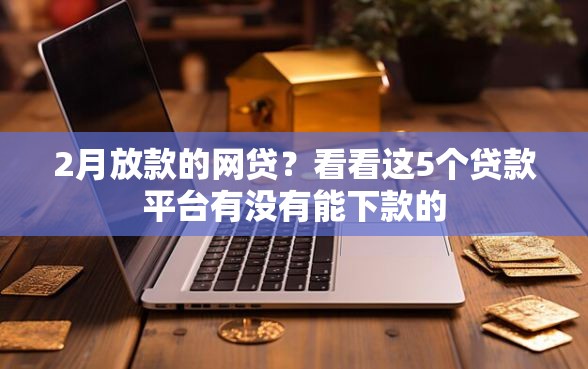 2月放款的网贷？看看这5个贷款平台有没有能下款的