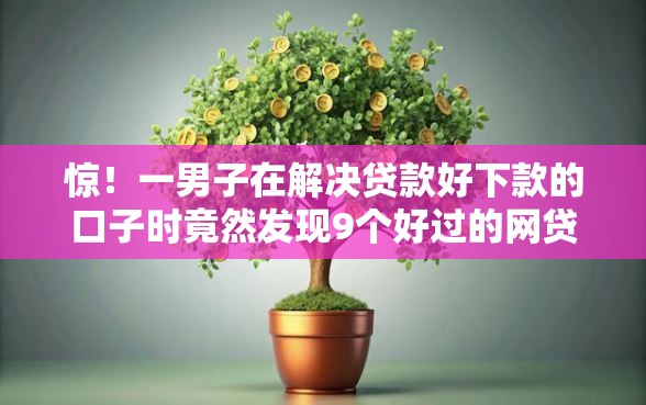 惊！一男子在解决贷款好下款的口子时竟然发现9个好过的网贷平台，事后分享了出来
