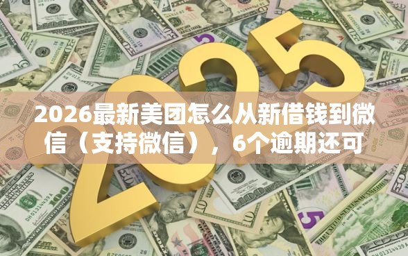 2026最新美团怎么从新借钱到微信（支持微信），6个逾期还可以贷款的平台无私分享