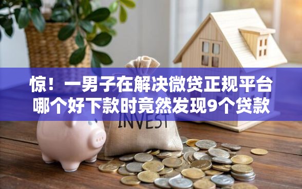 惊！一男子在解决微贷正规平台哪个好下款时竟然发现9个贷款推广平台，事后分享了出来