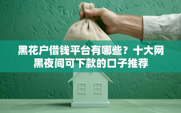 黑花户借钱平台有哪些？十大网黑夜间可下款的口子推荐