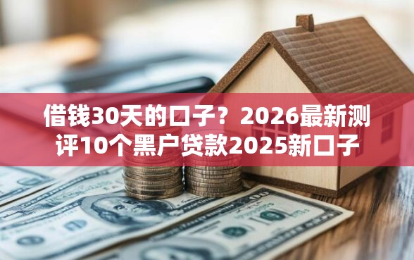 借钱30天的口子？2026最新测评10个黑户贷款2025新口子