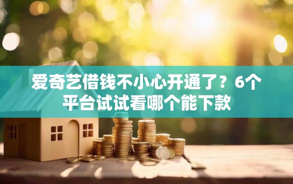 爱奇艺借钱不小心开通了？6个平台试试看哪个能下款
