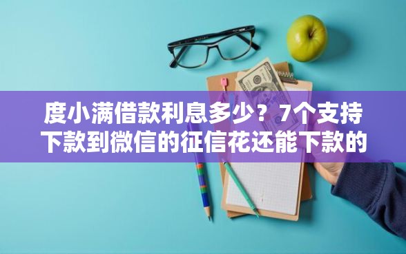 度小满借款利息多少？7个支持下款到微信的征信花还能下款的平台