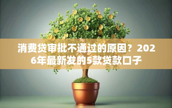 消费贷审批不通过的原因？2026年最新发的5款贷款口子