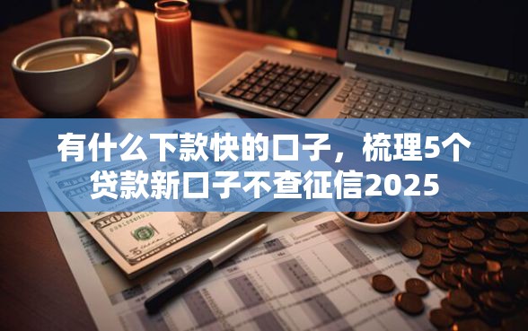 有什么下款快的口子，梳理5个贷款新口子不查征信2025