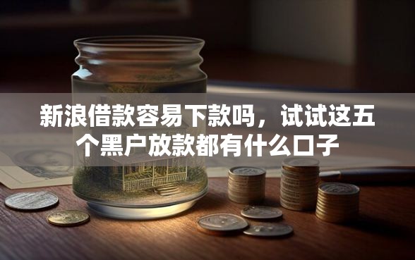 新浪借款容易下款吗，试试这五个黑户放款都有什么口子