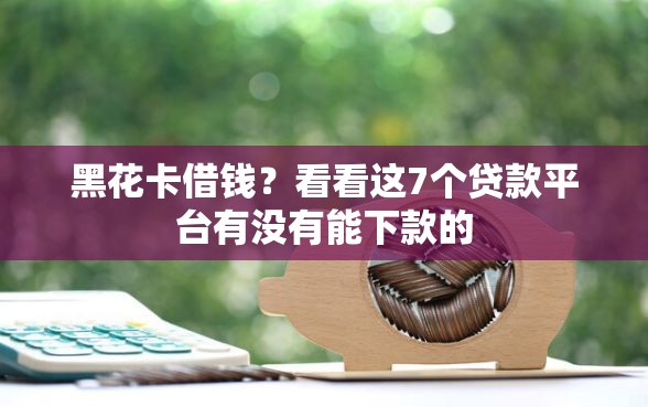 黑花卡借钱？看看这7个贷款平台有没有能下款的