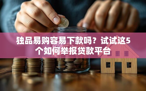 独品易购容易下款吗？试试这5个如何举报贷款平台