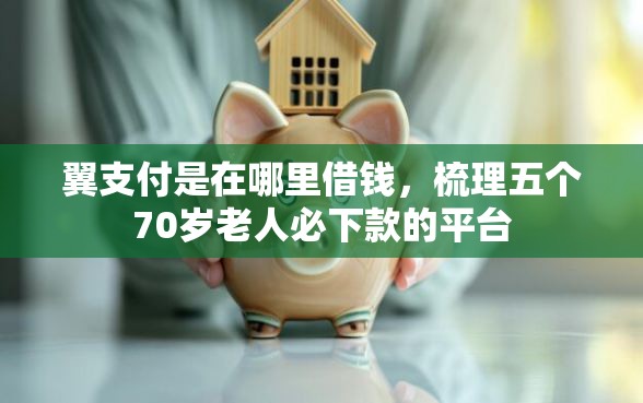 翼支付是在哪里借钱，梳理五个70岁老人必下款的平台