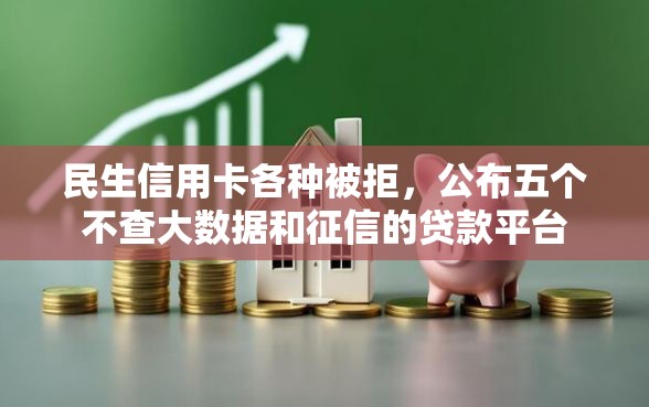民生信用卡各种被拒，公布五个不查大数据和征信的贷款平台