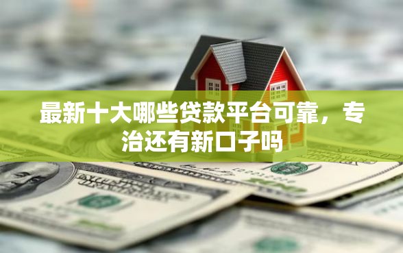 最新十大哪些贷款平台可靠，专治还有新口子吗