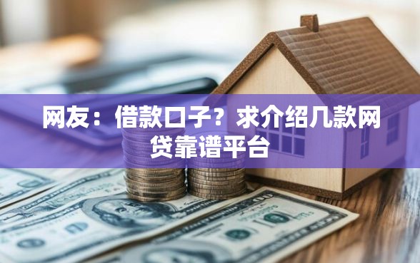 网友：借款口子？求介绍几款网贷靠谱平台