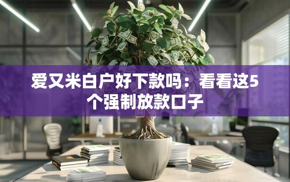 爱又米白户好下款吗：看看这5个强制放款口子