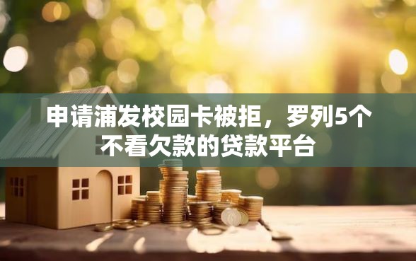 申请浦发校园卡被拒，罗列5个不看欠款的贷款平台