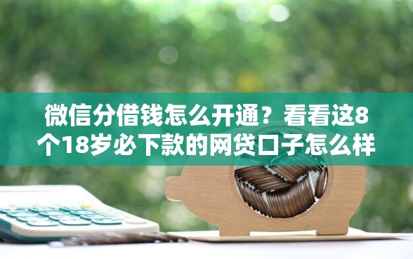 微信分借钱怎么开通？看看这8个18岁必下款的网贷口子怎么样