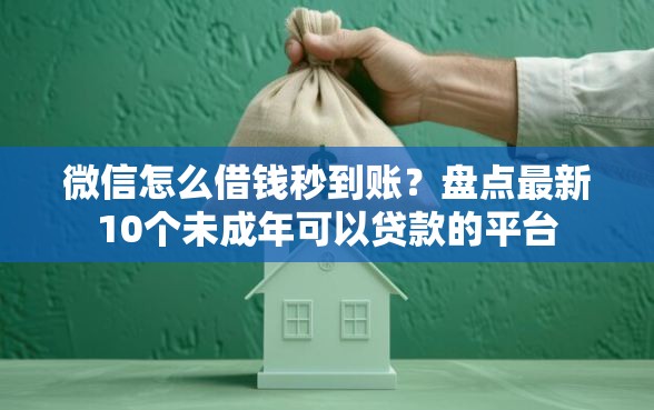 微信怎么借钱秒到账？盘点最新10个未成年可以贷款的平台