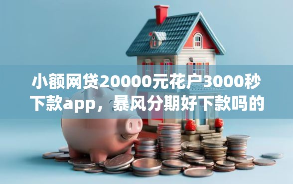 小额网贷20000元花户3000秒下款app，暴风分期好下款吗的7个平台介绍