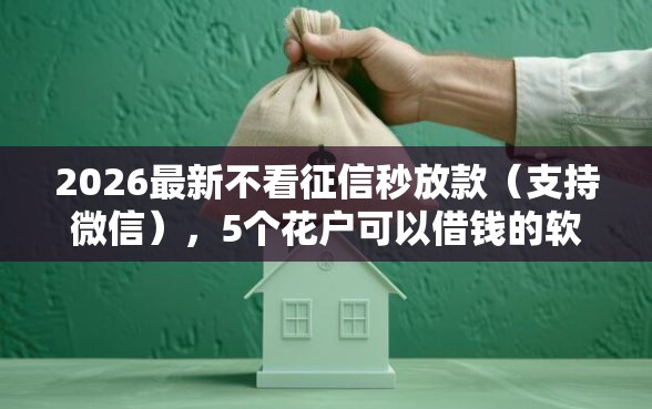 2026最新不看征信秒放款（支持微信），5个花户可以借钱的软件无私分享
