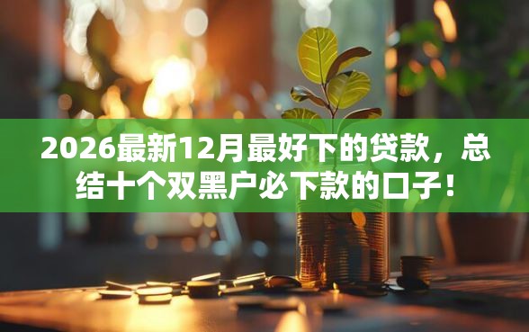 2026最新12月最好下的贷款，总结十个双黑户必下款的口子！