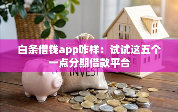 白条借钱app咋样：试试这五个一点分期借款平台