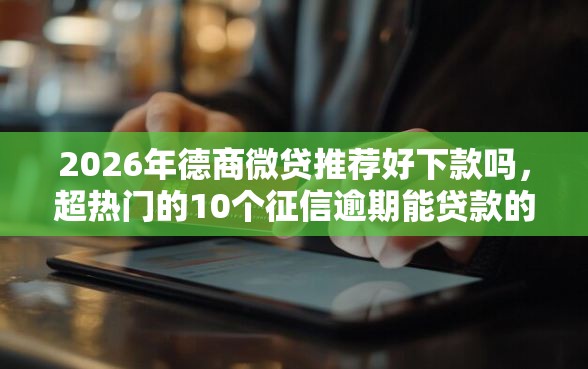 2026年德商微贷推荐好下款吗，超热门的10个征信逾期能贷款的正规平台推荐