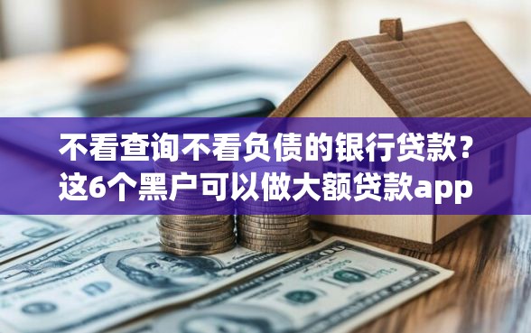 不看查询不看负债的银行贷款？这6个黑户可以做大额贷款app值得一试