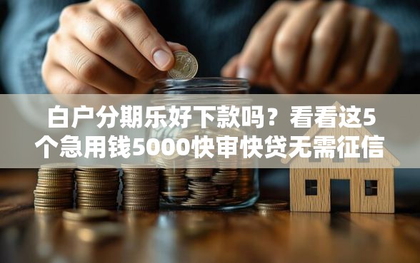 白户分期乐好下款吗？看看这5个急用钱5000快审快贷无需征信平台