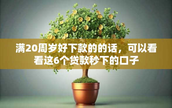 满20周岁好下款的的话，可以看看这6个贷款秒下的口子