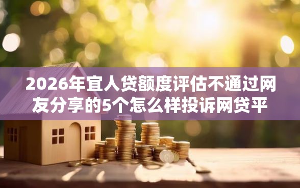 2026年宜人贷额度评估不通过网友分享的5个怎么样投诉网贷平台我觉得不错！