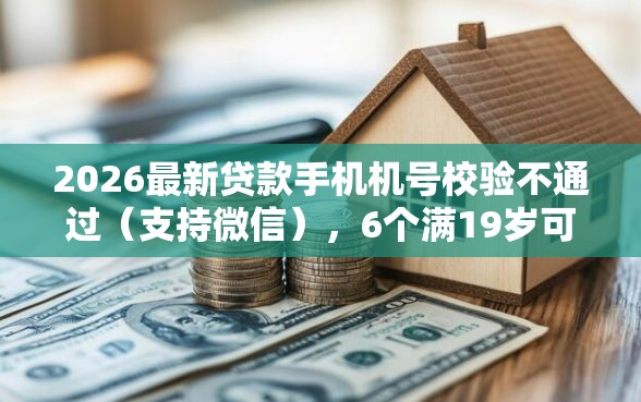 2026最新贷款手机机号校验不通过（支持微信），6个满19岁可以借款的软件无私分享