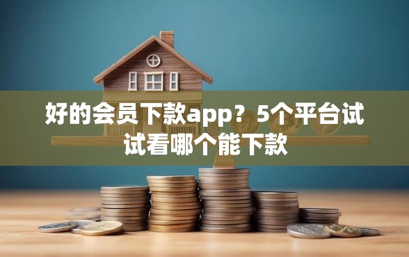 好的会员下款app？5个平台试试看哪个能下款