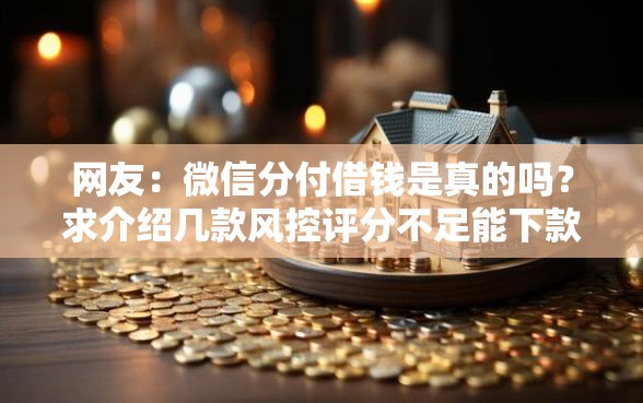 网友：微信分付借钱是真的吗？求介绍几款风控评分不足能下款的平台
