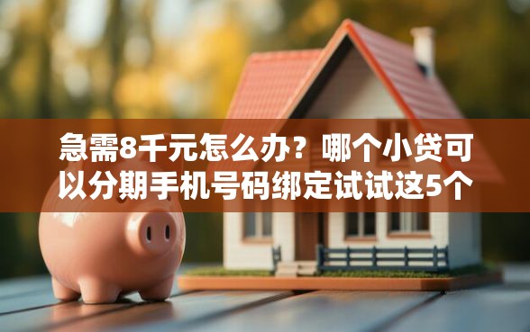 急需8千元怎么办？哪个小贷可以分期手机号码绑定试试这5个无门槛平台